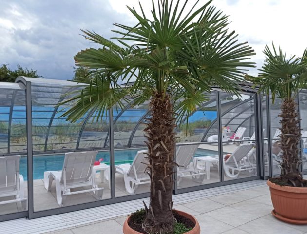 Hohes Pooldach Aluna® Delta II